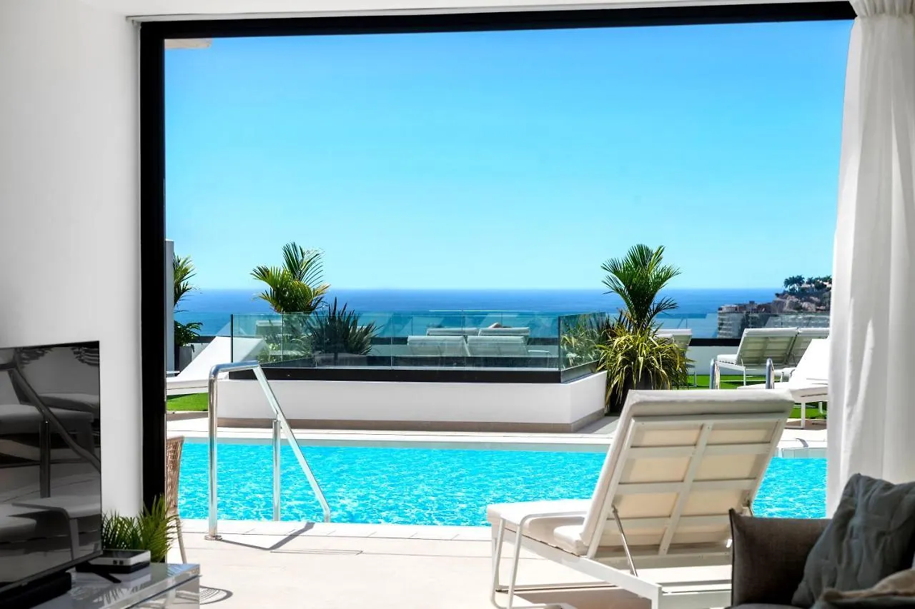 Palmera Sea View Patalavaca Spain